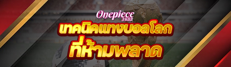 เทคนิคแทงบอลโลก ที่ห้ามพลาด